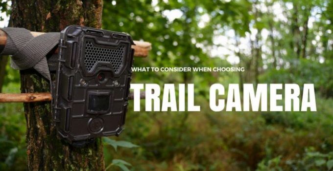 Cheap trail Cameras 