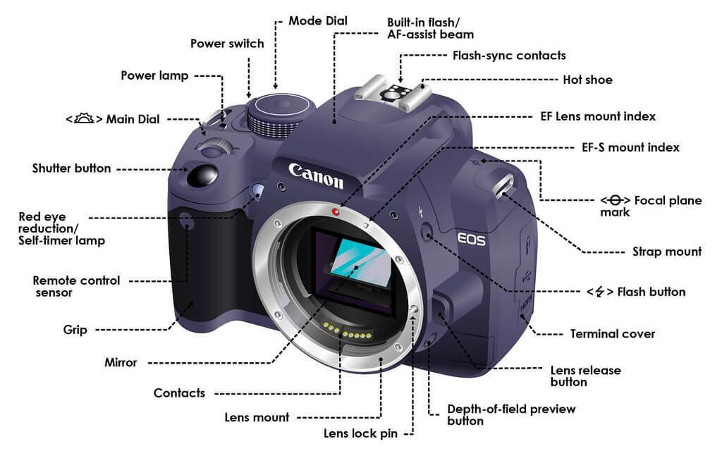 Camera and Film Sensors Working