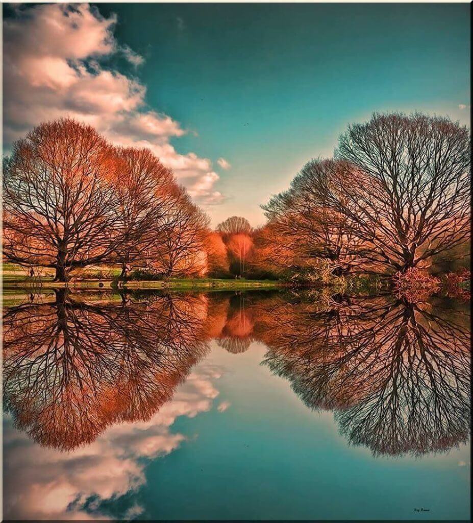Reflective Symmetry Photography